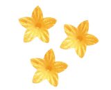 Wafer ljiljan perla zlatni 2cm 400/1